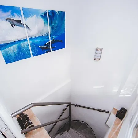 Apartment Felix